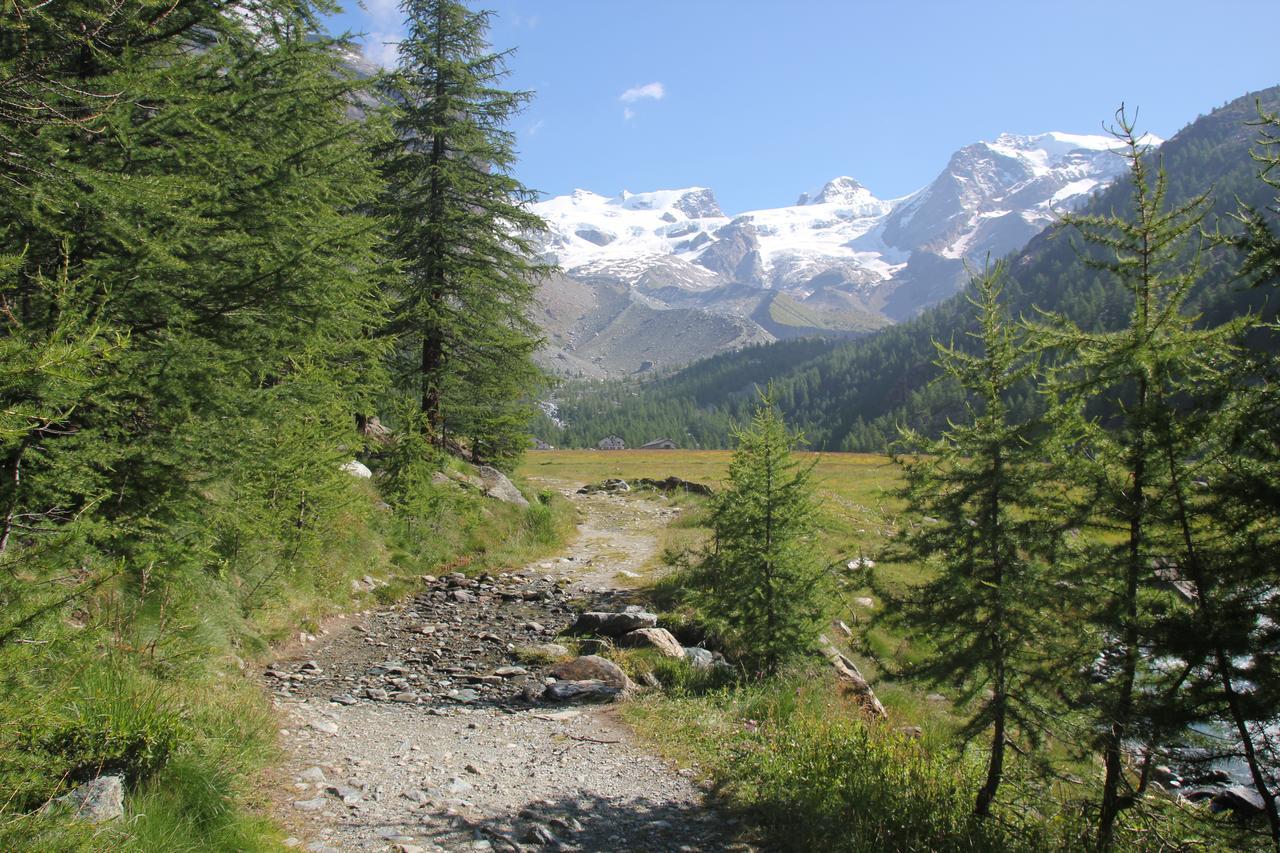 Maison Fosson Aparthotel Champoluc Bagian luar foto